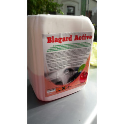 Автохимия Blagard Active 20 кг