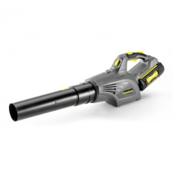 Воздуходувка Karcher LB 850 BP