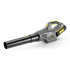 Воздуходувка Karcher LB 850 BP